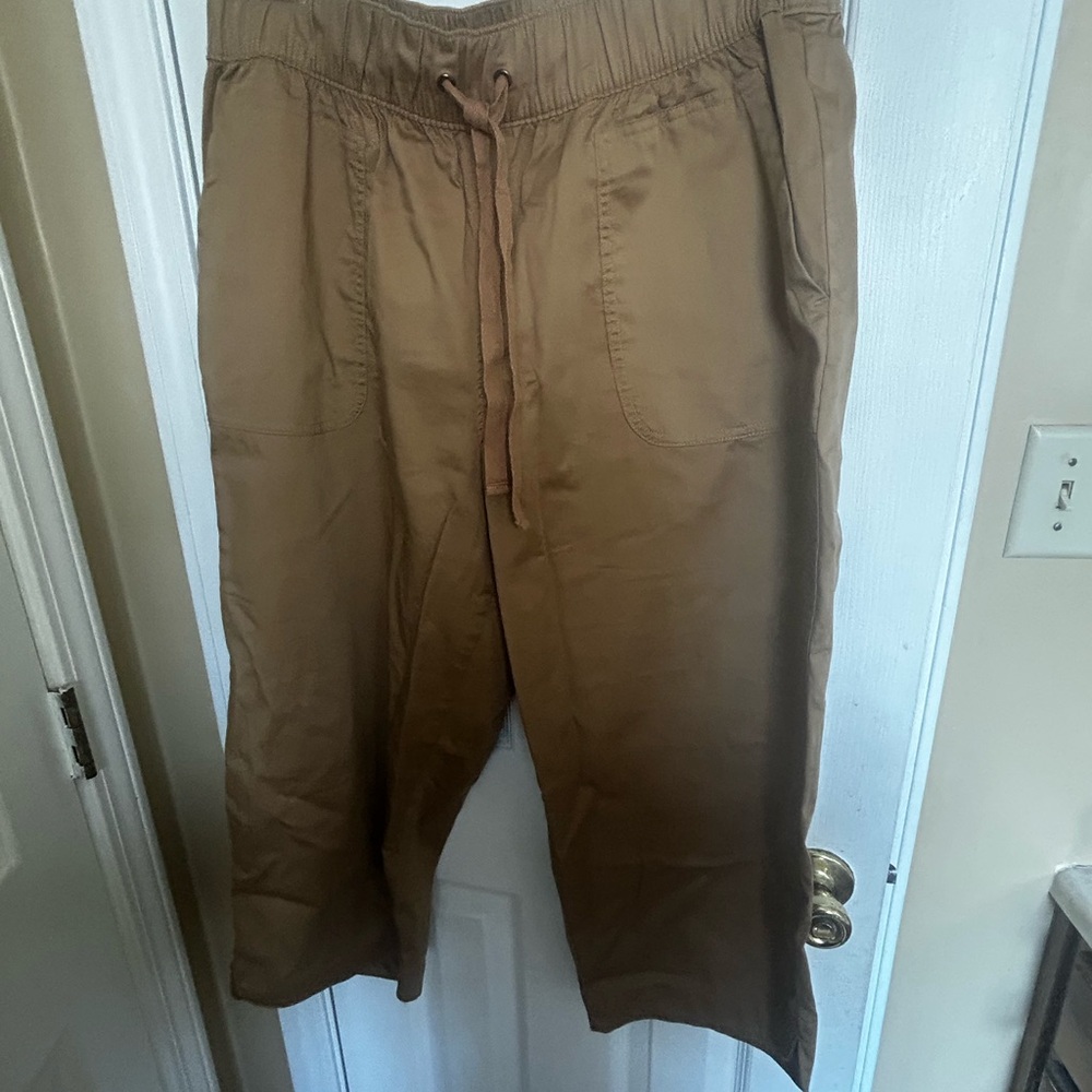 Lane Bryant Relaxed Drawstring Wide-Leg Pants in Brown. EUC!
